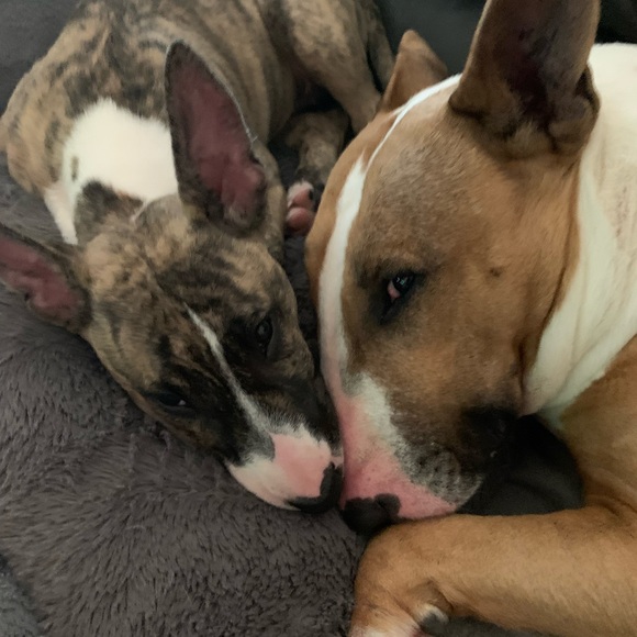 Meet your Posher, Beth - Picture 5 of 5